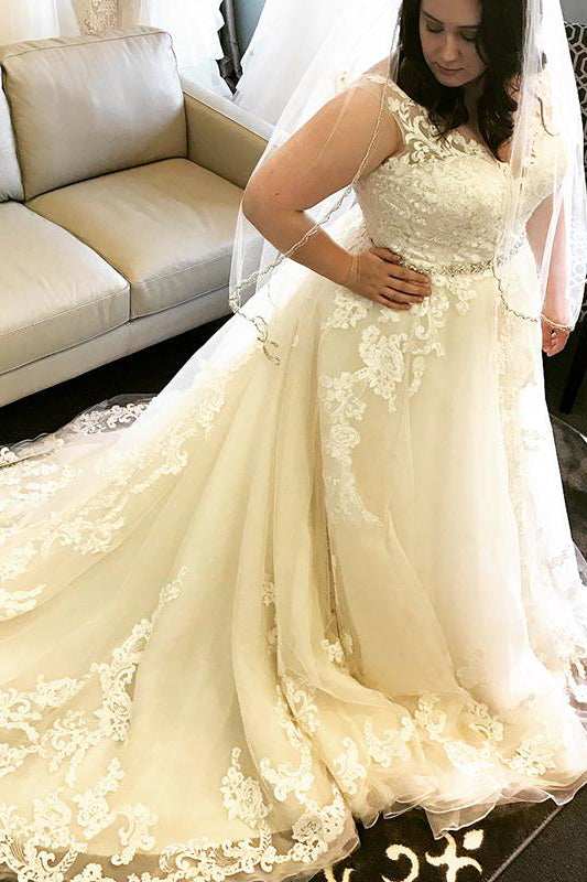Champagne Plus Size Long V-Neck A-line Wedding Dress with Delicate Lace for Brides