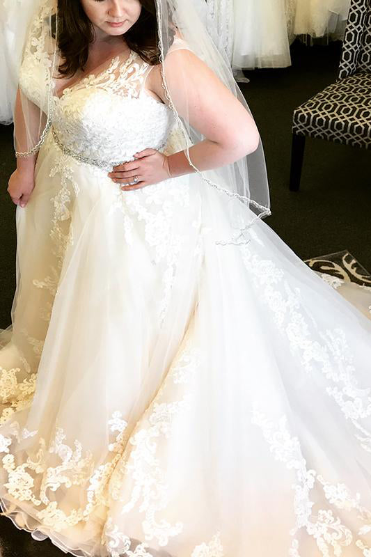 Champagne Plus Size Long V-Neck A-line Wedding Dress with Delicate Lace for Brides